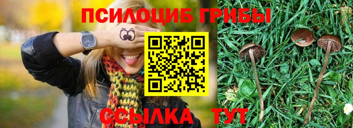 Галлюциногенные грибы мухоморы  Псилоцибиновые грибы Cubensis  Унеча  Вход с VPN 